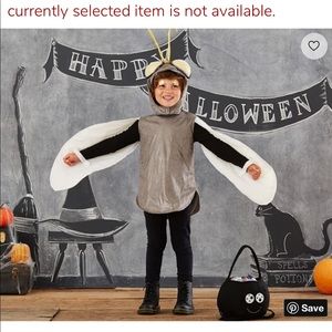 Pottery Barn Kids Firefly Light-up Costume